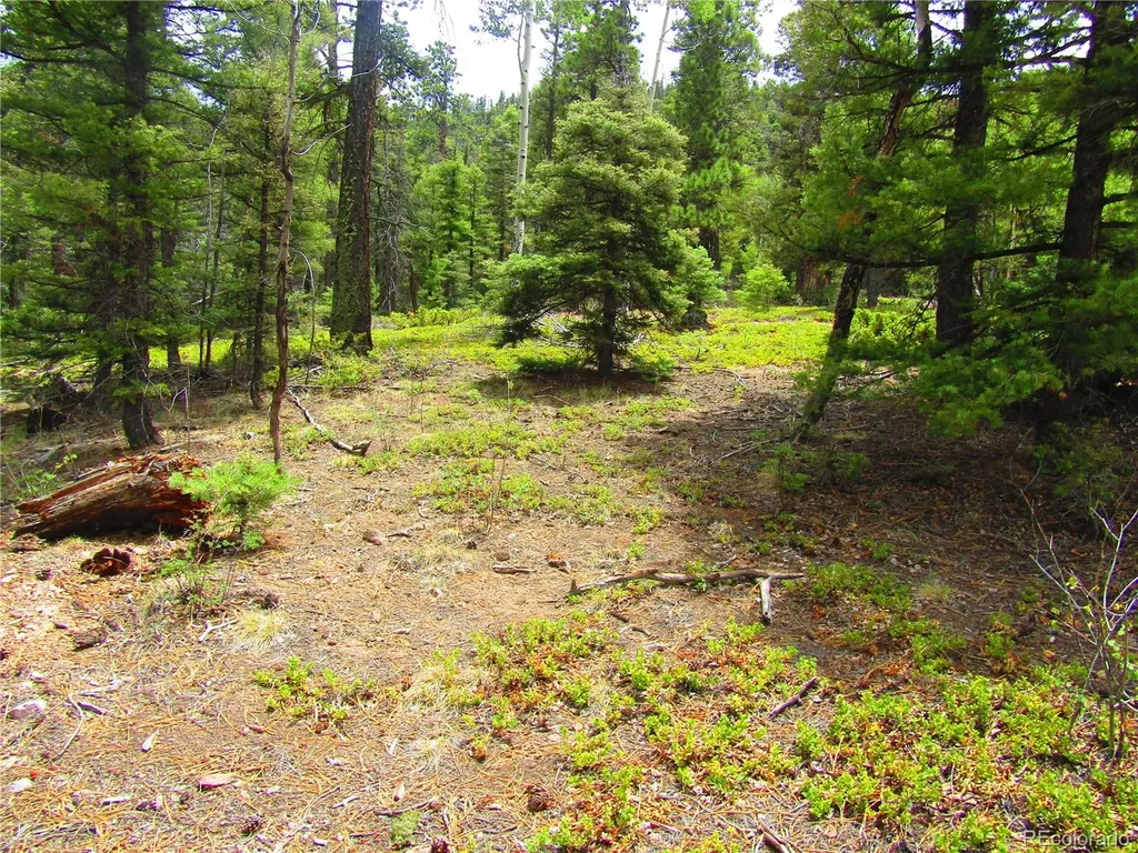 Lot 6029 Spruce Road San Luis CO 81152