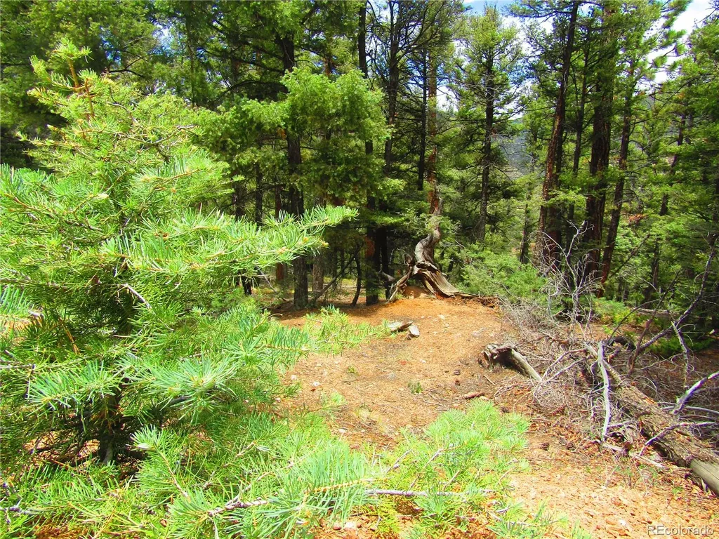Lot 6029 Spruce Road San Luis CO 81152