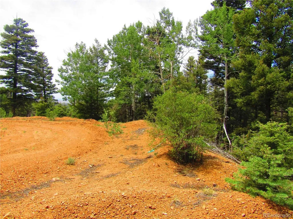 Lot 6029 Spruce Road San Luis CO 81152
