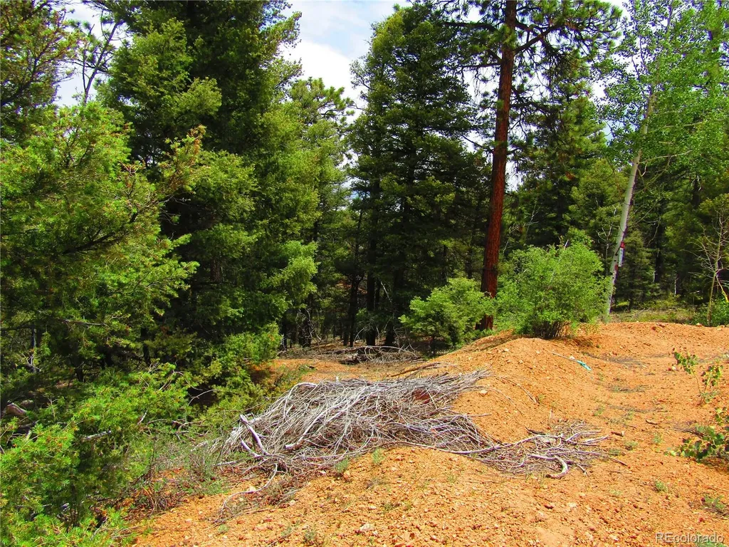Lot 6029 Spruce Road San Luis CO 81152