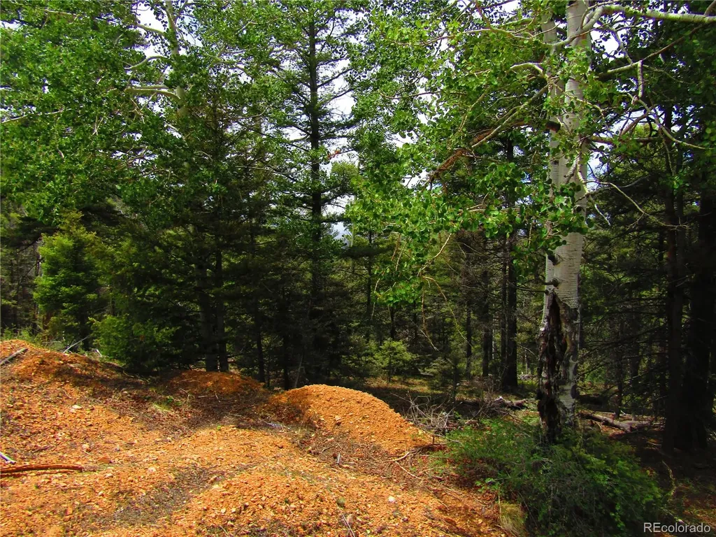 Lot 6029 Spruce Road San Luis CO 81152