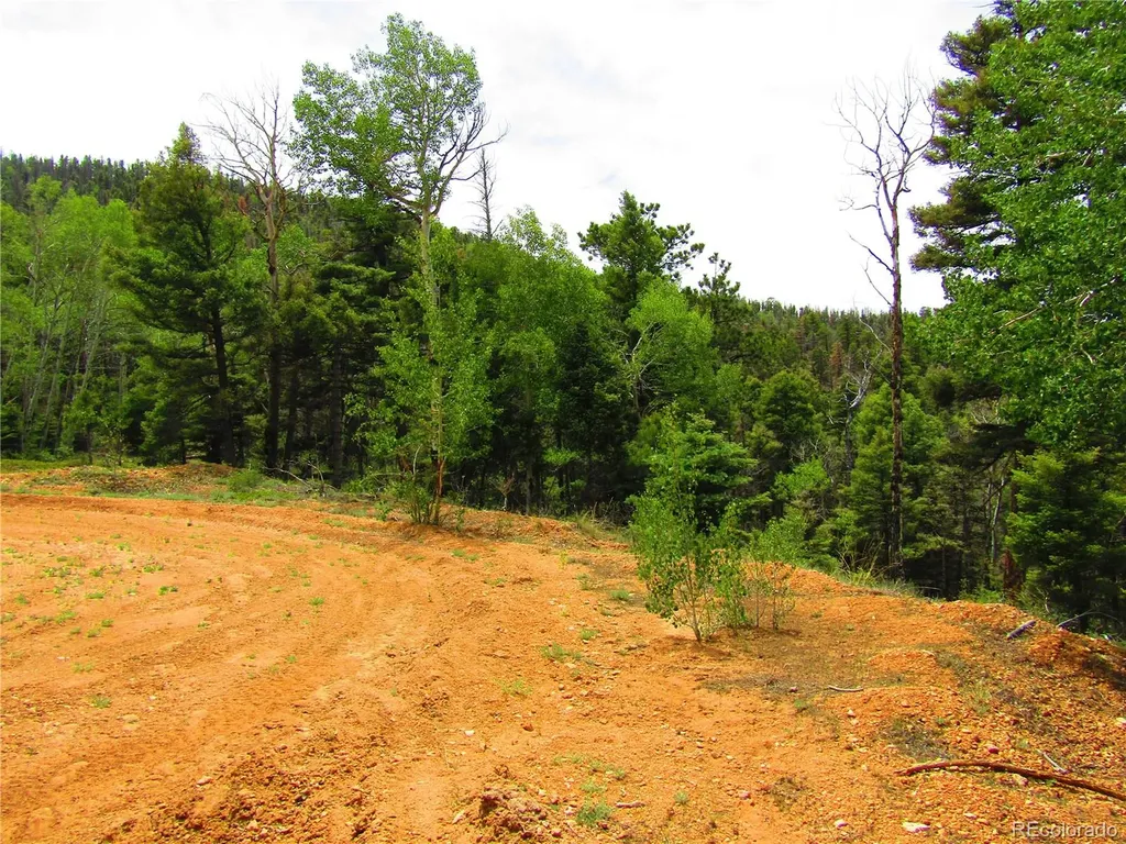Lot 6029 Spruce Road San Luis CO 81152