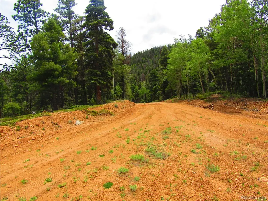 Lot 6029 Spruce Road San Luis CO 81152