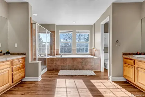 3188 Soaring Eagle Lane Castle Rock CO 80109