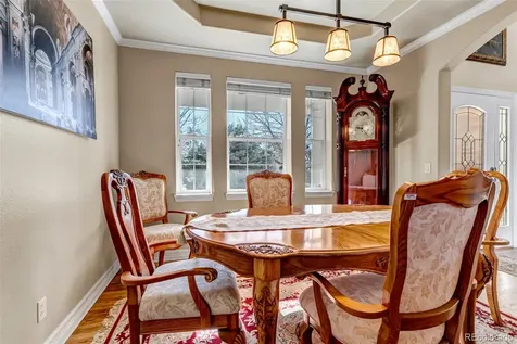 3188 Soaring Eagle Lane Castle Rock CO 80109