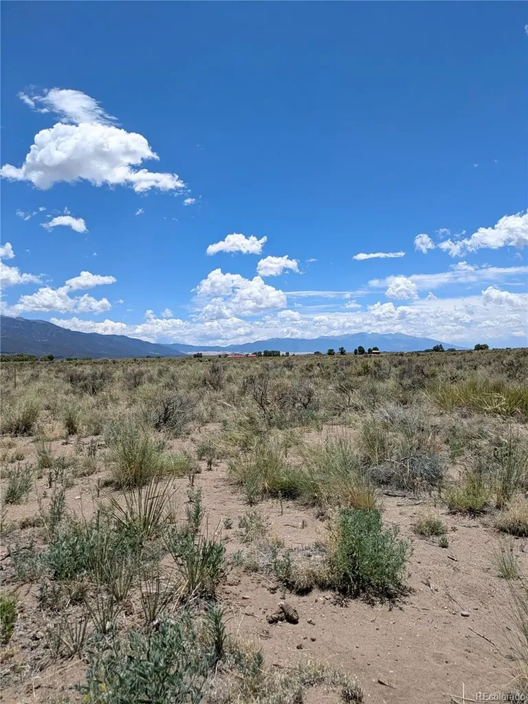 1097 Pioneer Trail Crestone CO 81131