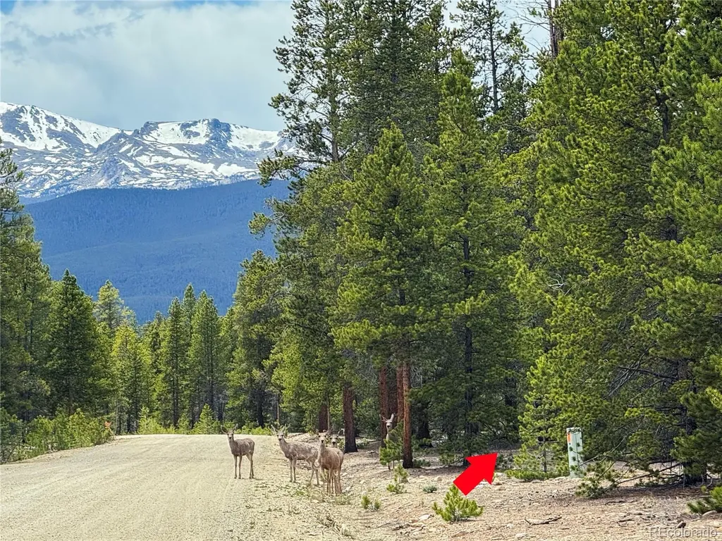 201 Snowshoe Rabbit Drive Leadville CO 80461