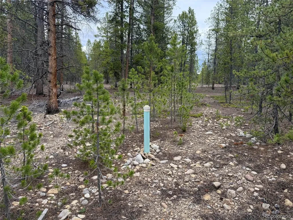 201 Snowshoe Rabbit Drive Leadville CO 80461