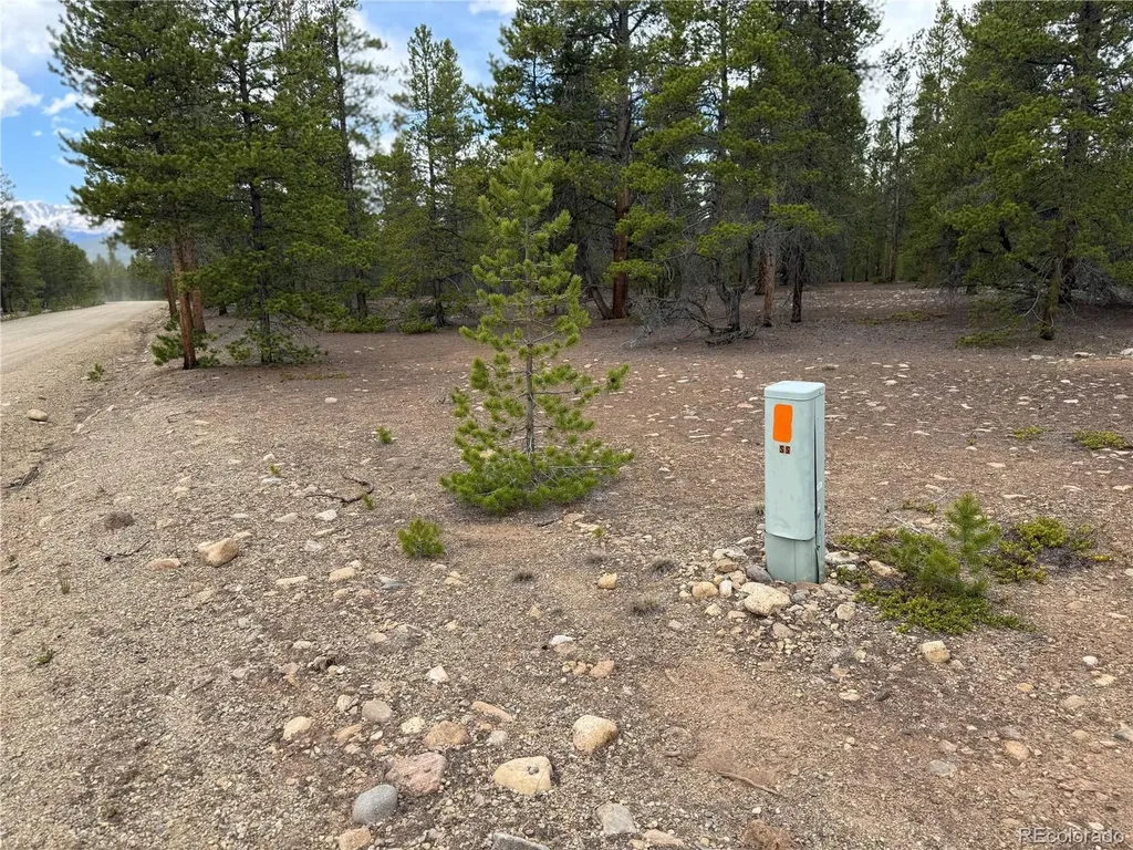 201 Snowshoe Rabbit Drive Leadville CO 80461