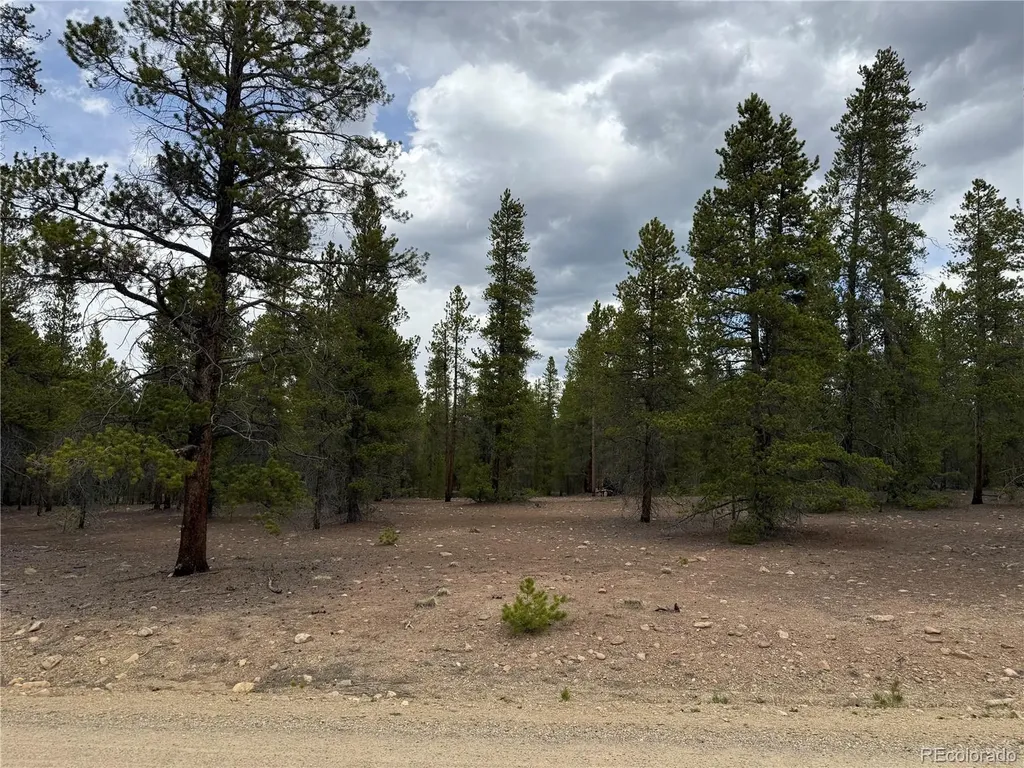 201 Snowshoe Rabbit Drive Leadville CO 80461