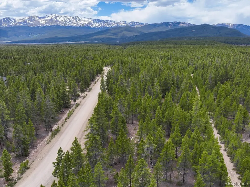 201 Snowshoe Rabbit Drive Leadville CO 80461