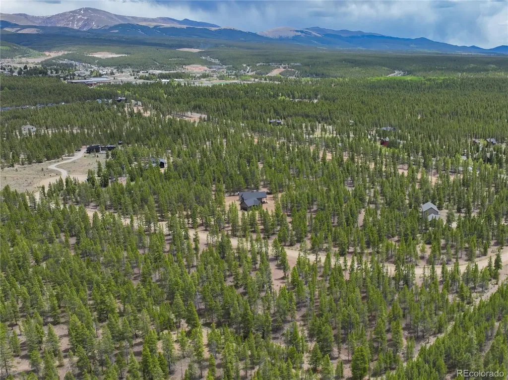 201 Snowshoe Rabbit Drive Leadville CO 80461