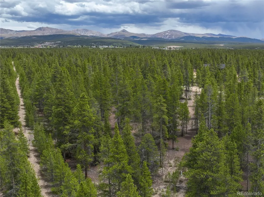 201 Snowshoe Rabbit Drive Leadville CO 80461