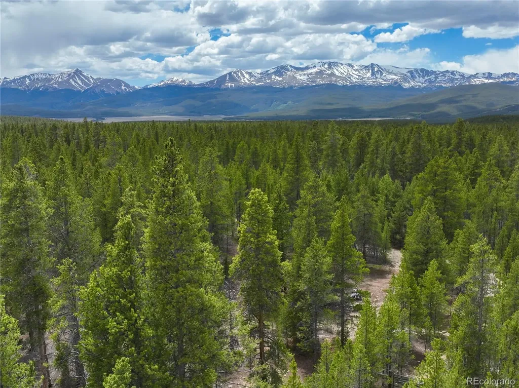 201 Snowshoe Rabbit Drive Leadville CO 80461