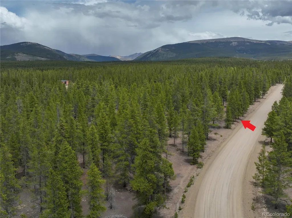 201 Snowshoe Rabbit Drive Leadville CO 80461