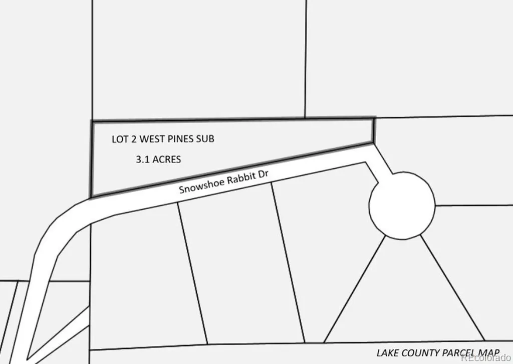 201 Snowshoe Rabbit Drive Leadville CO 80461