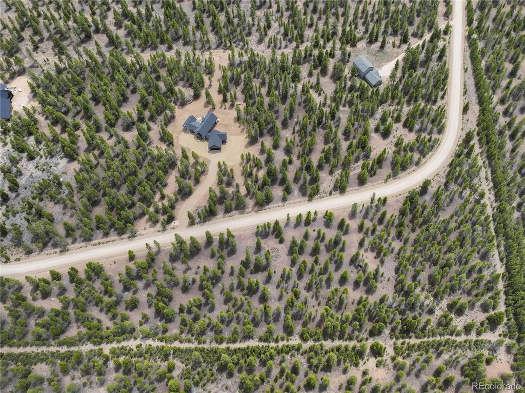 201 Snowshoe Rabbit Drive Leadville CO 80461