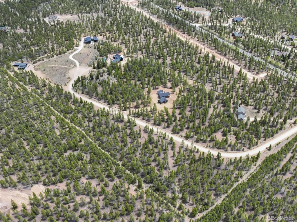 201 Snowshoe Rabbit Drive Leadville CO 80461