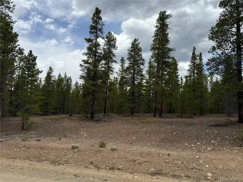 201 Snowshoe Rabbit Drive Leadville CO 80461