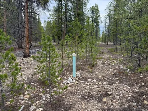 201 Snowshoe Rabbit Drive Leadville CO 80461