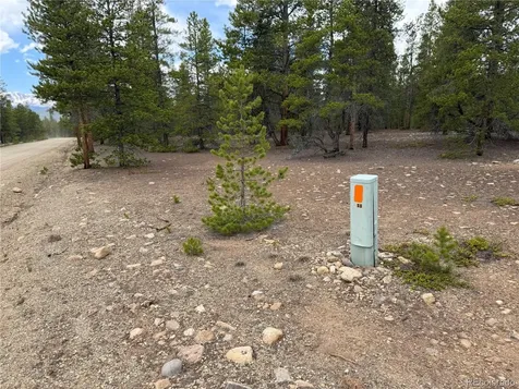 201 Snowshoe Rabbit Drive Leadville CO 80461
