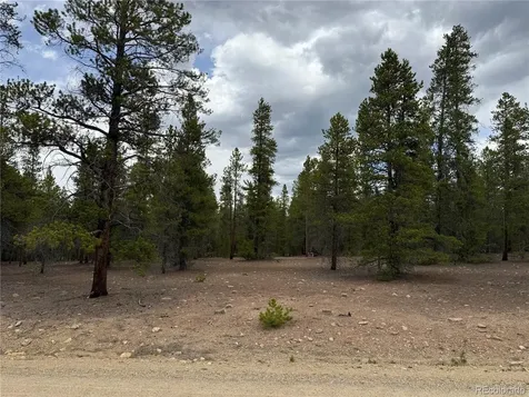 201 Snowshoe Rabbit Drive Leadville CO 80461