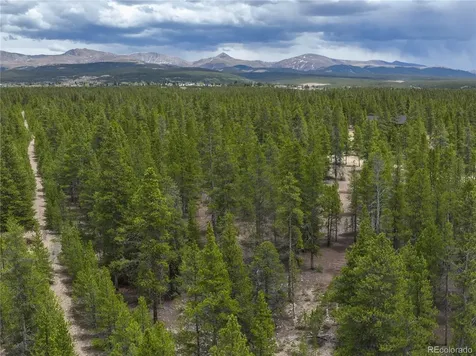 201 Snowshoe Rabbit Drive Leadville CO 80461