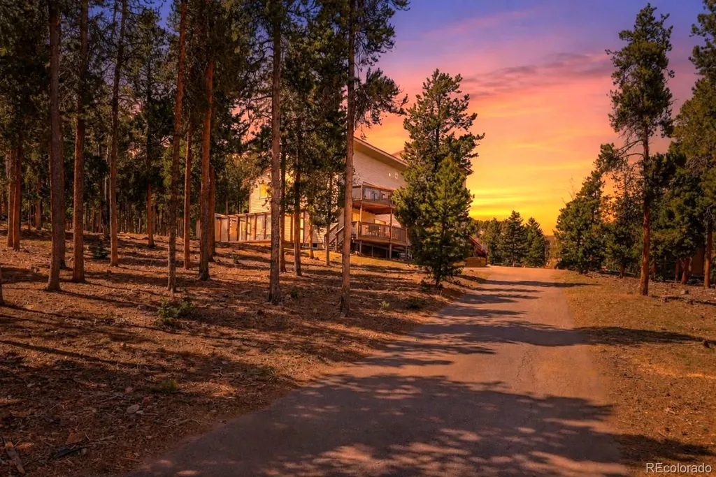 9225 Sandy Lane Conifer CO 80433