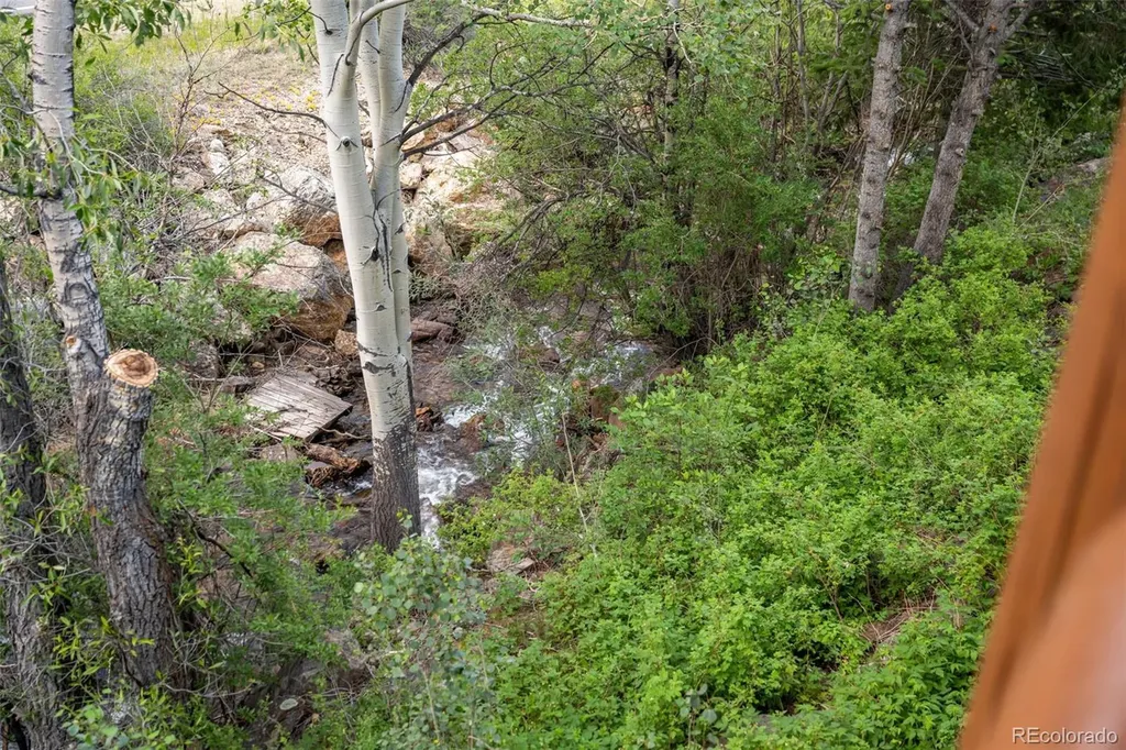 4825 Colorado 103 Idaho Springs CO 80452
