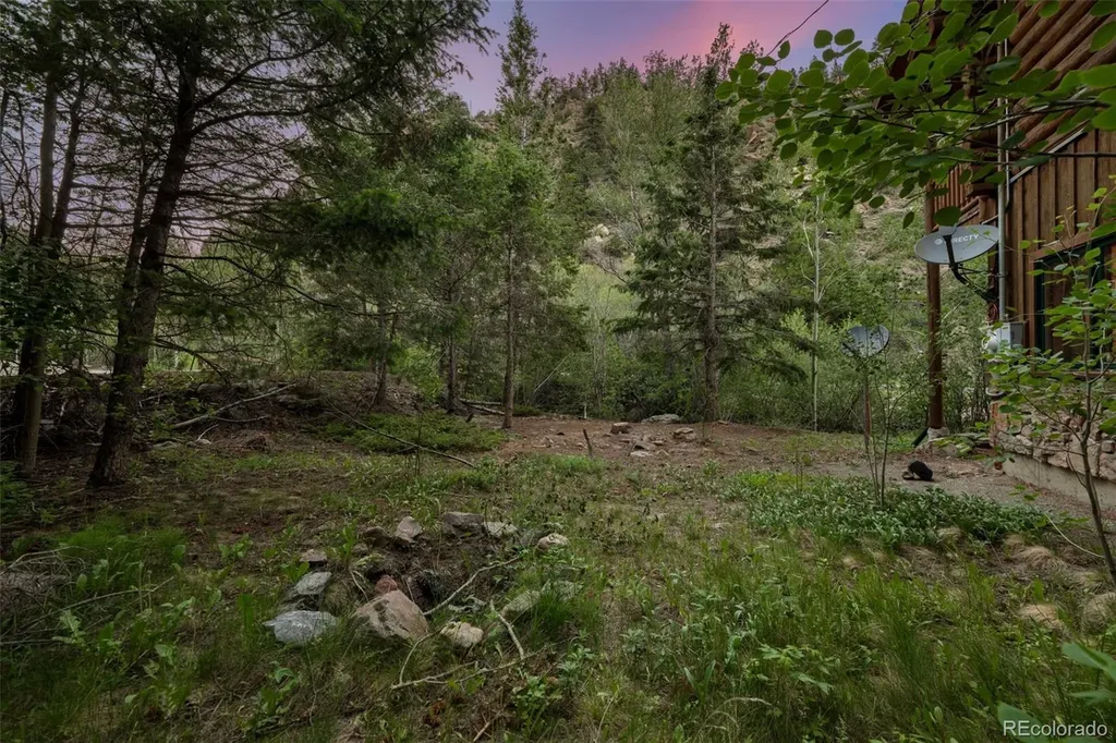 4825 Colorado 103 Idaho Springs CO 80452