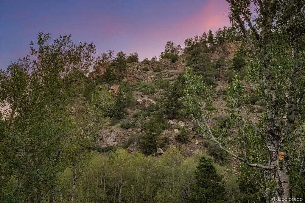 4825 Colorado 103 Idaho Springs CO 80452