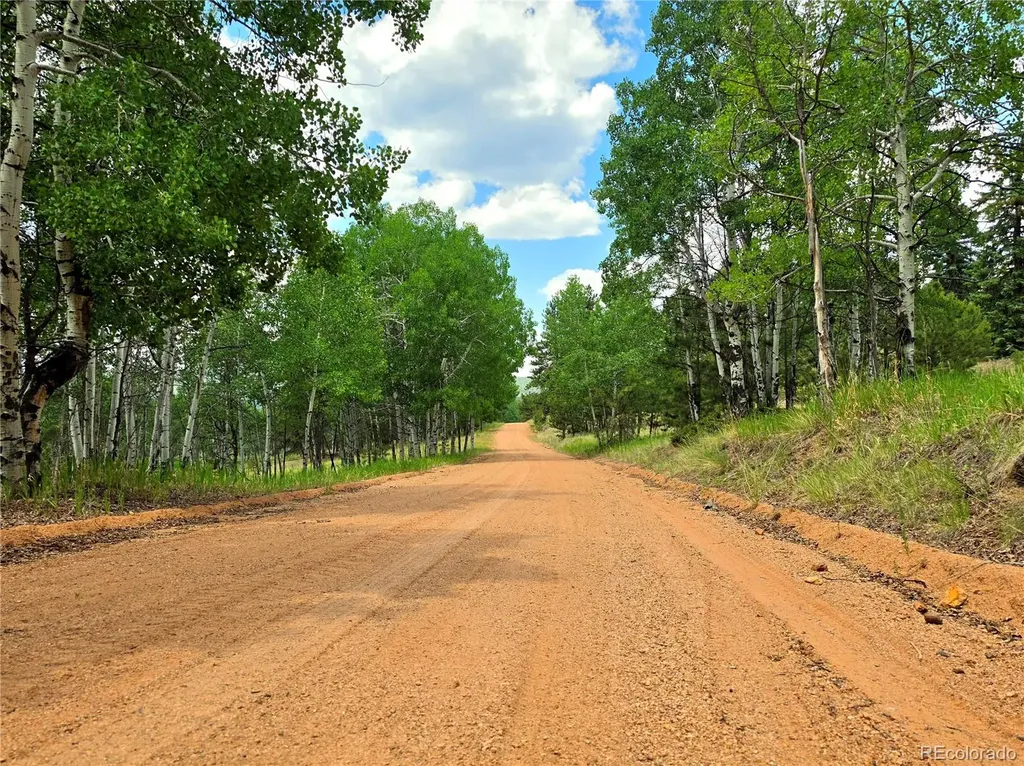 584 Sourdough Road Woodland Park CO 80863