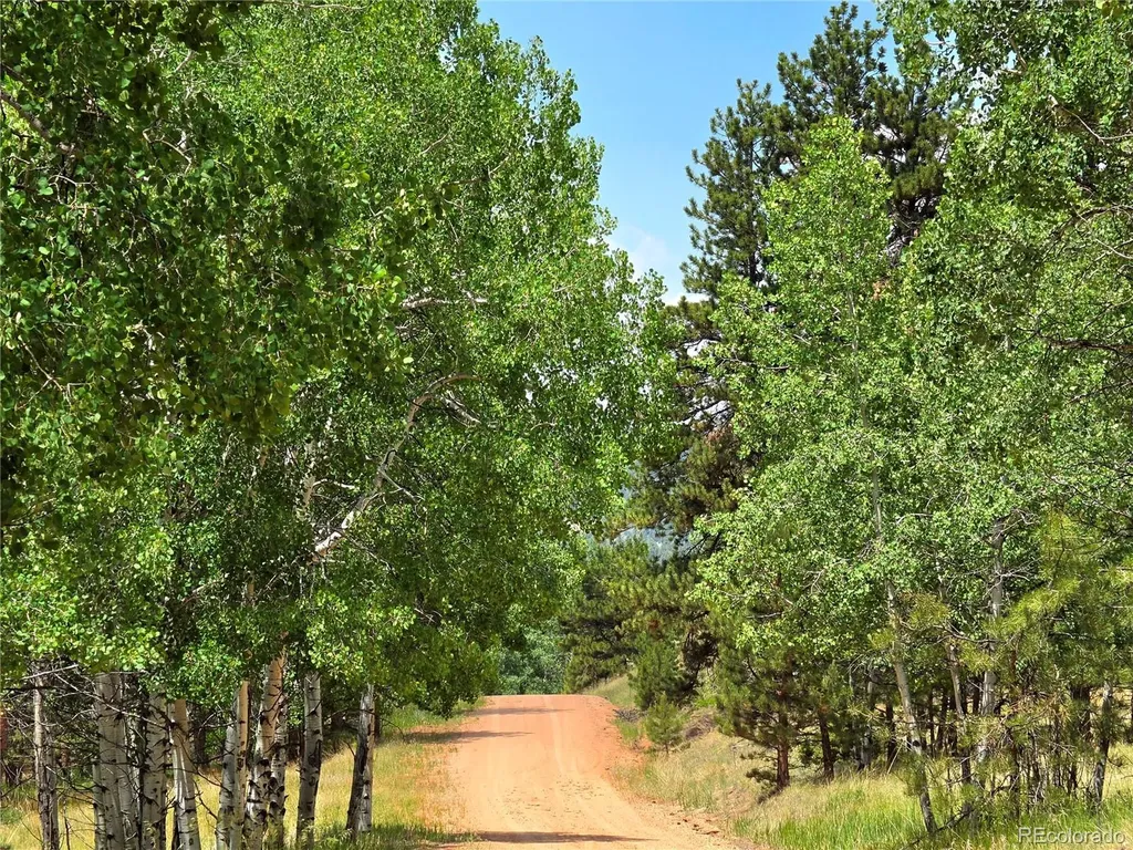 584 Sourdough Road Woodland Park CO 80863