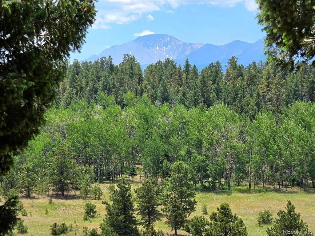 584 Sourdough Road Woodland Park CO 80863