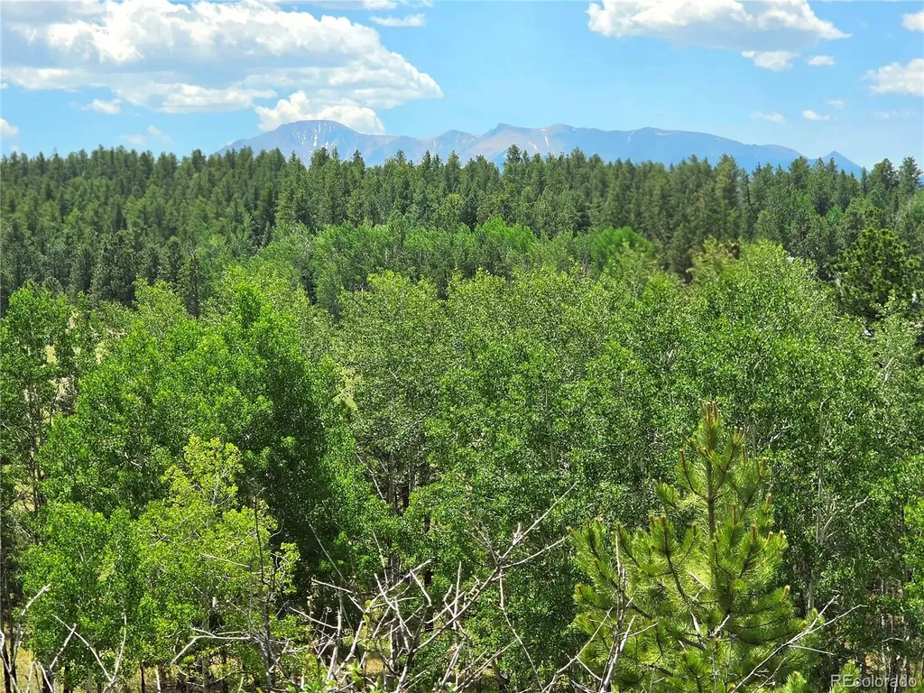 584 Sourdough Road Woodland Park CO 80863