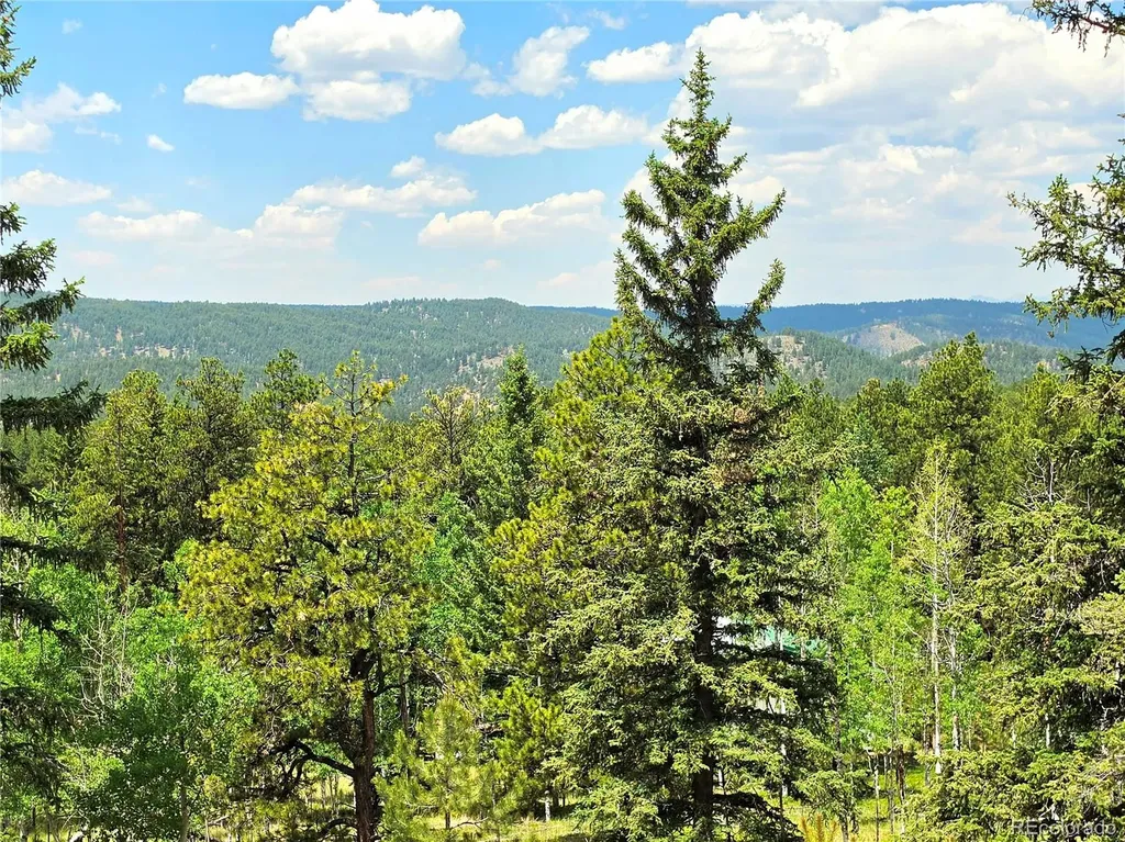 584 Sourdough Road Woodland Park CO 80863