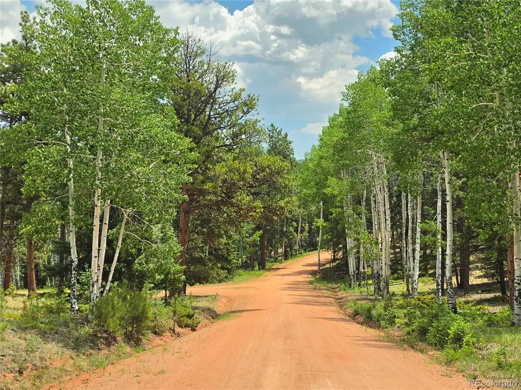 584 Sourdough Road Woodland Park CO 80863