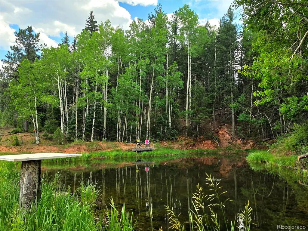 584 Sourdough Road Woodland Park CO 80863
