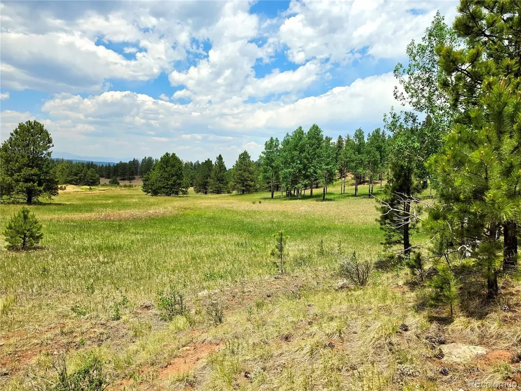 584 Sourdough Road Woodland Park CO 80863