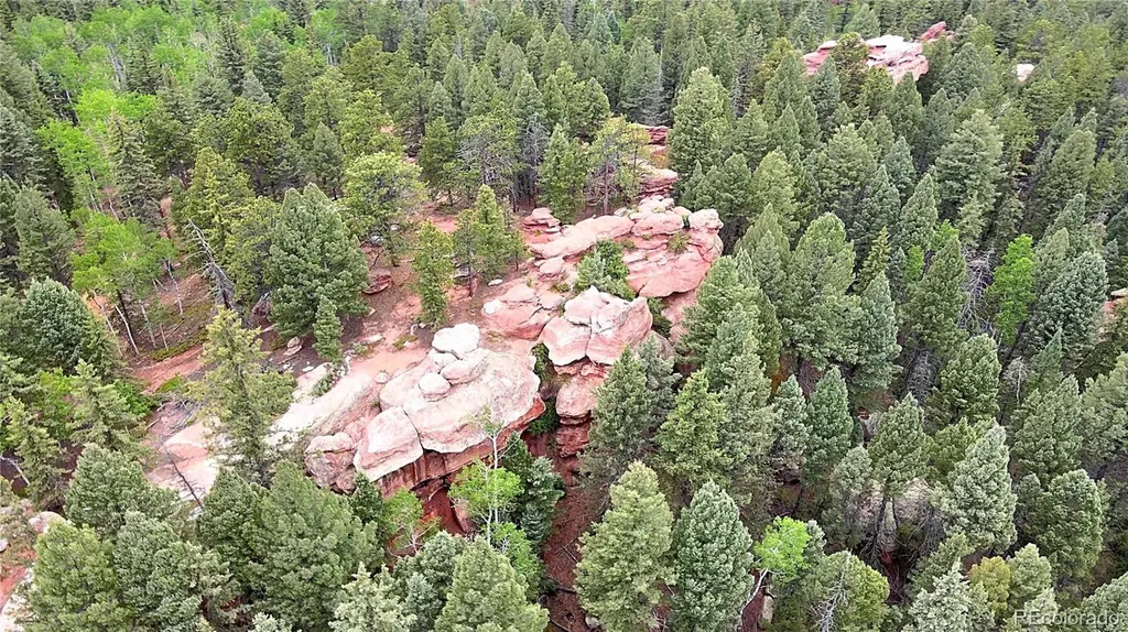 584 Sourdough Road Woodland Park CO 80863