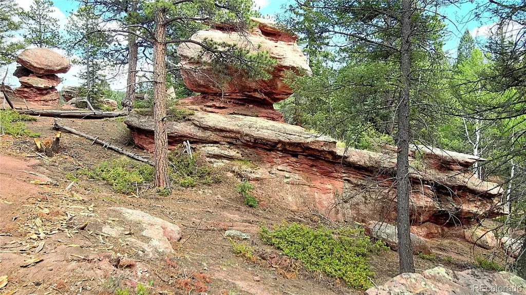 584 Sourdough Road Woodland Park CO 80863