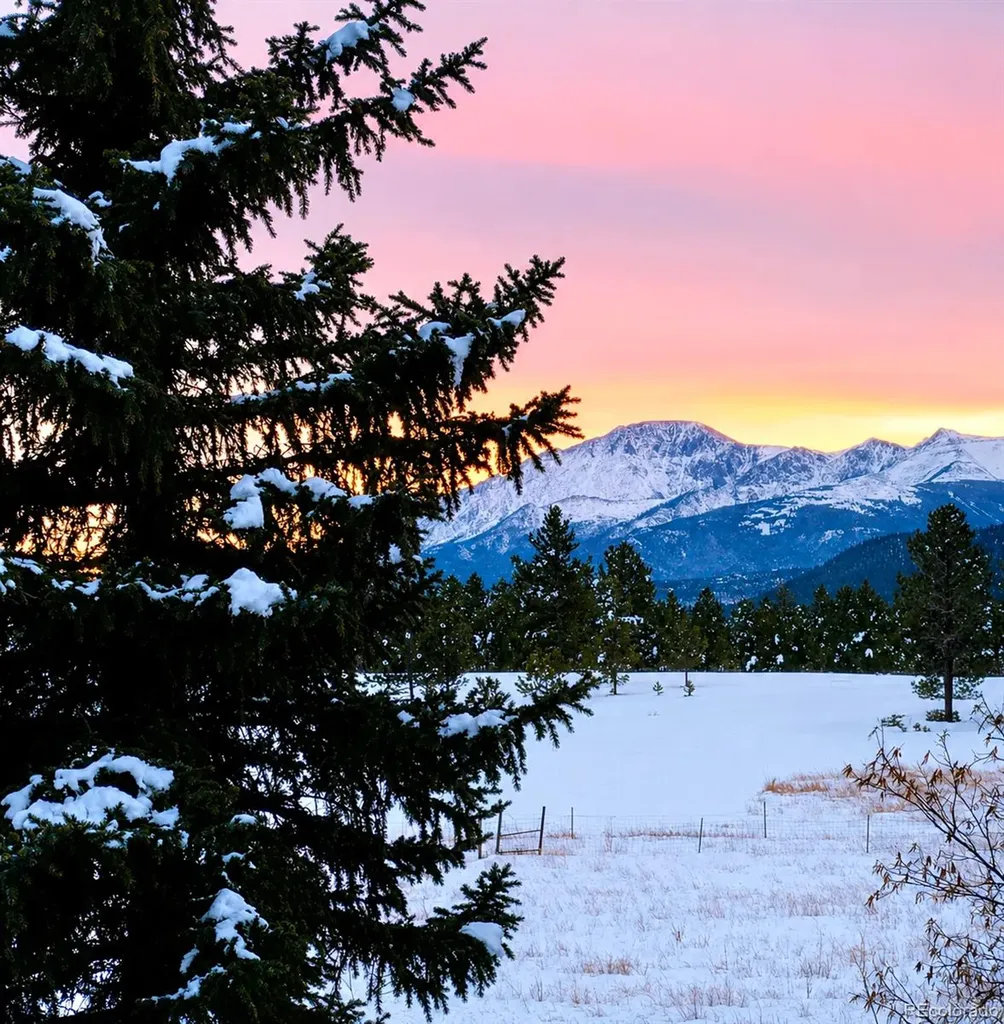 584 Sourdough Road Woodland Park CO 80863