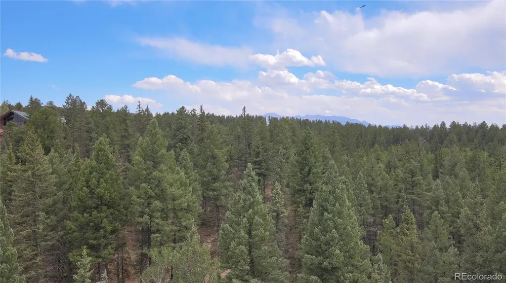 584 Sourdough Road Woodland Park CO 80863