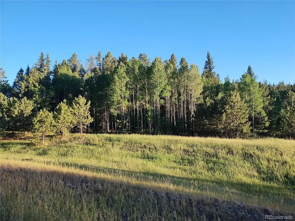 584 Sourdough Road Woodland Park CO 80863