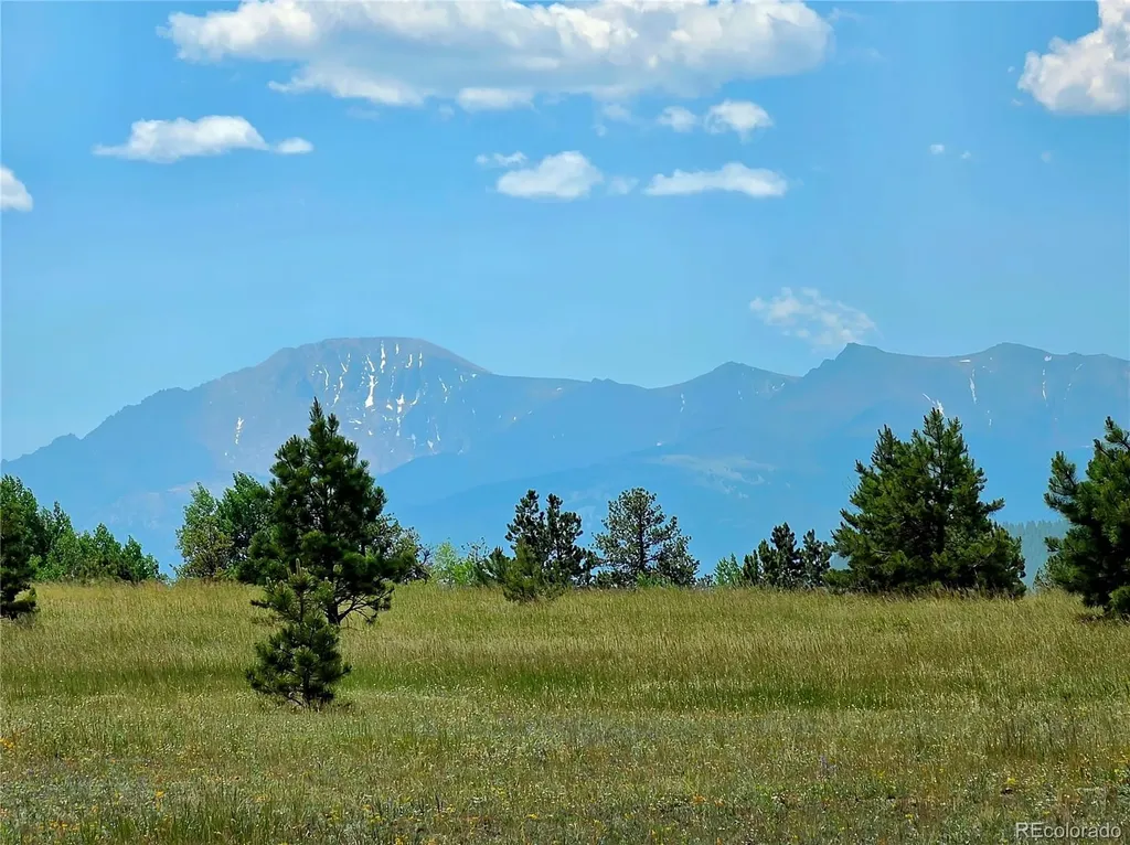 584 Sourdough Road Woodland Park CO 80863
