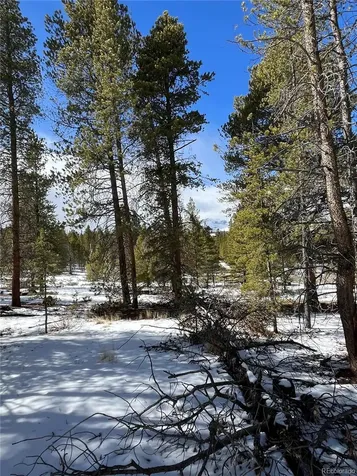 28 Juniper Drive Twin Lakes CO 81251