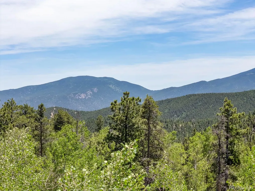 719 Miners Candle Road Idaho Springs CO 80452