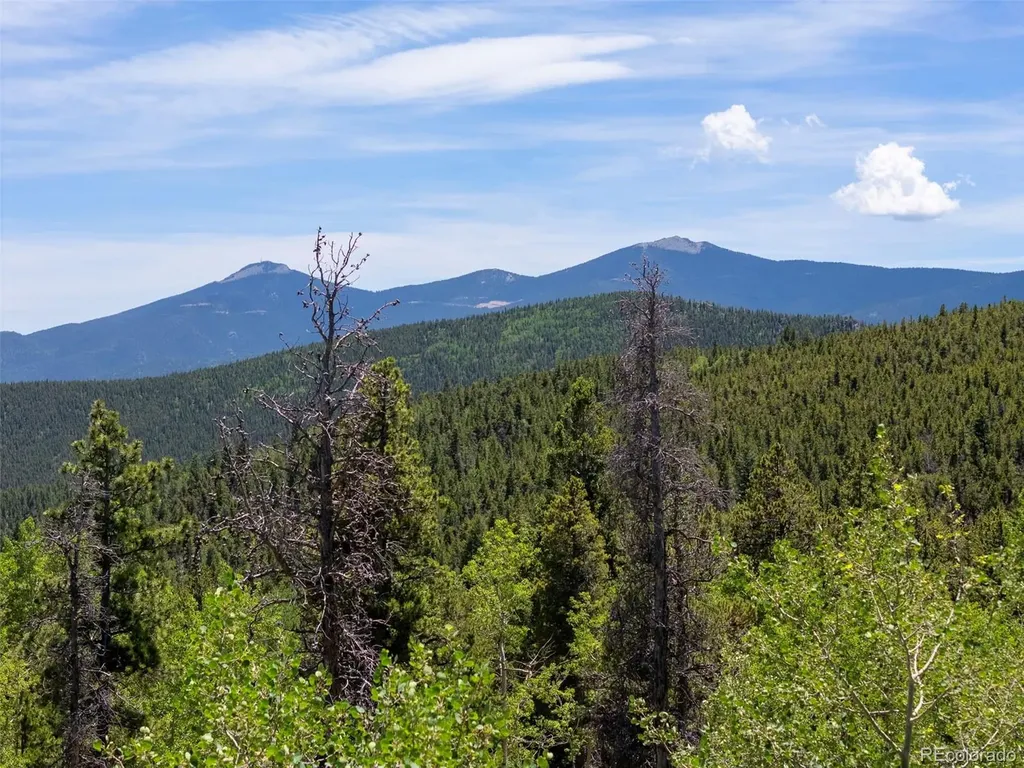 719 Miners Candle Road Idaho Springs CO 80452