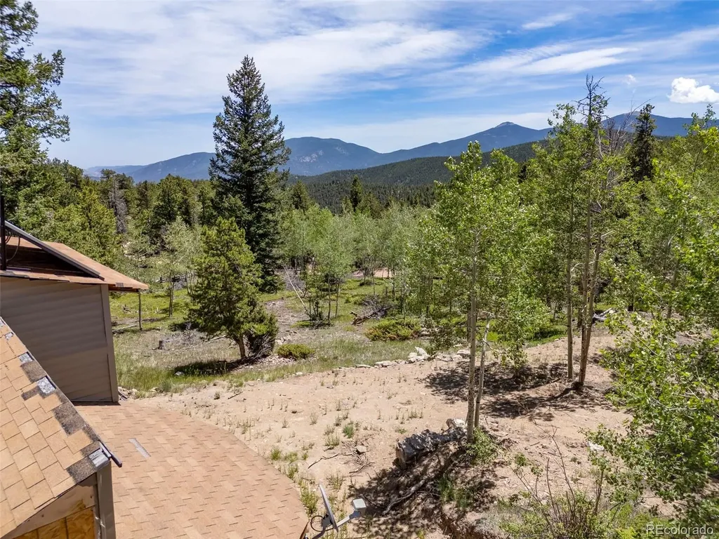 719 Miners Candle Road Idaho Springs CO 80452