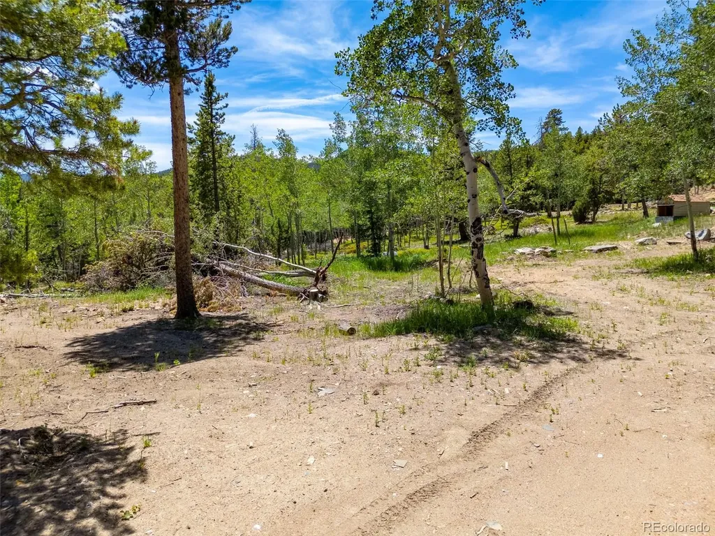 719 Miners Candle Road Idaho Springs CO 80452